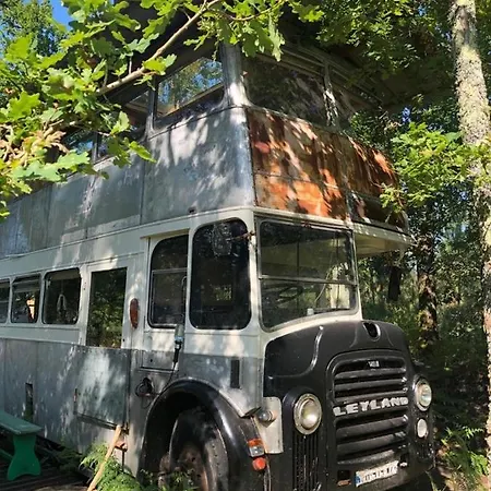 Cosmic Bus 2 Floor Mimizan